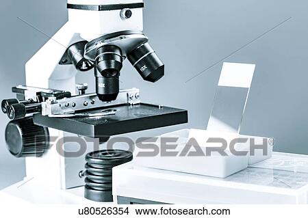 Light microscope and slide. View Large Photo Image Picture - Light microscope and slide.. Fotosearch