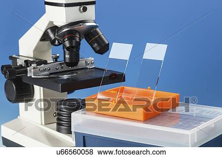 Stock Photo - Light microscope and slides.. Fotosearch