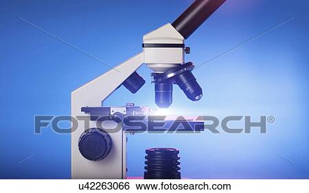 Stock Photograph - Light microscope.. Fotosearch