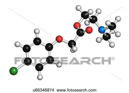 Meclofenoxate nootropic molecule. 3D rendering. Atoms are represented as spheres with conventional colour-coding: hydrogen (white), carbon (black), oxygen (red), nitrogen (blue), chlorine (green). View Large Photo Image Picture - Meclofenoxate nootropic molecule. 3D rendering. Atoms are represented as spheres with conventional colour-coding: hydrogen (white), carbon (black), oxygen (red), nitrogen (blue), chlorine (green).. Fotosearch
