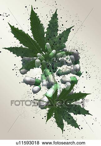 Stock Photo - Medicinal marijuana, illustration.. Fotosearch
