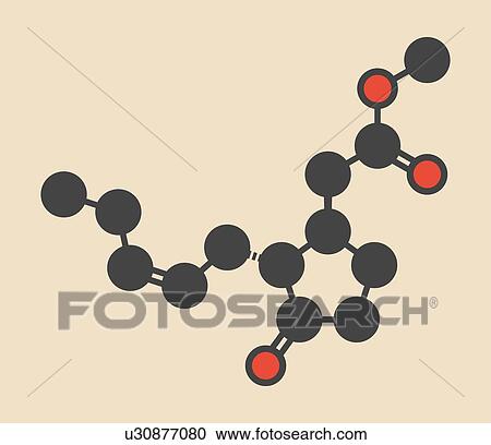 Stock Image - Methyl jasmonate plant stress signal molecule. Stylized skeletal formula (chemical structure): Atoms are shown as colour-coded circles: hydrogen (hidden), carbon (grey), oxygen (red).. Fotosearch