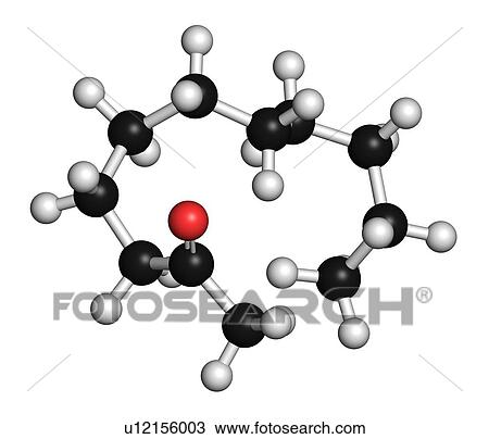 Stock Image - Methyl nonyl ketone (2-undecanone) insect repellent molecule. 3D rendering. Atoms are represented as spheres with conventional colour-coding: hydrogen (white), carbon (black), oxygen (red).. Fotosearch