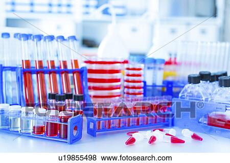 Stock Photo - Microbiology laboratory.. Fotosearch