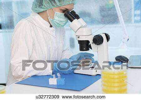 Microbiology research. Scientist taking a sample from a culture in a Petri dish. View Large Photo Image Stock Photo - Microbiology research. Scientist taking a sample from a culture in a Petri dish.. Fotosearch