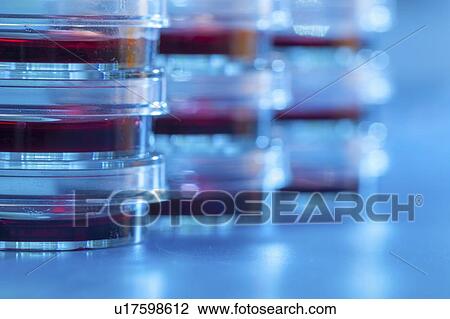 Microbiology research. View Large Photo Image Stock Image - Microbiology research.. Fotosearch