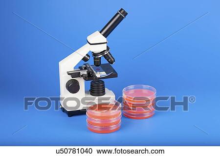 Stock Image - Microbiology research.. Fotosearch