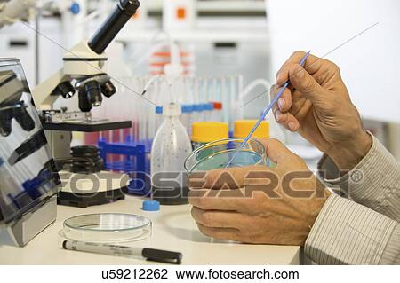 Stock Image - Microbiology research.. Fotosearch