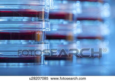Stock Photography - Microbiology research.. Fotosearch