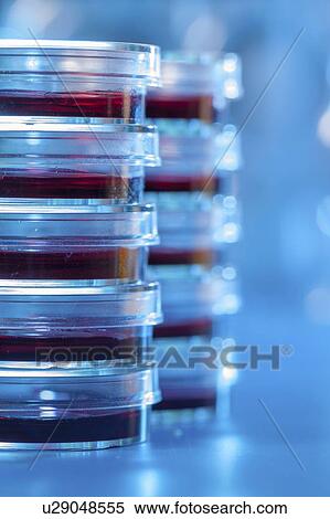 Stock Photography - Microbiology research.. Fotosearch