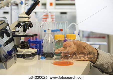 Stock Photography - Microbiology research.. Fotosearch