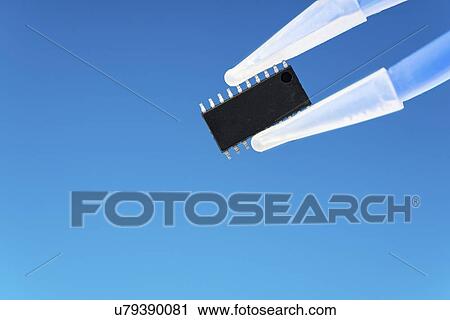 Stock Image - Microchip held between tweezers.. Fotosearch