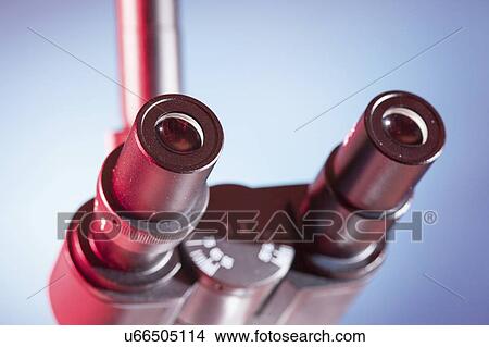 Microscope binocular eyepiece. View Large Photo Image Picture - Microscope binocular eyepiece.. Fotosearch