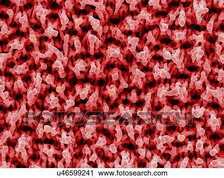 Stock Image - Microstructures on nickel. Coloured scanning electron micrograph (SEM) of microstructures formed on a nickel surface by a laser beam. This research involves the use of lasers to etch and ablate metal and semiconductor surfaces. The resulting.... Fotosearch