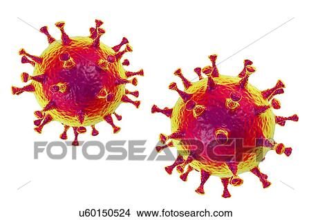 Middle East Respiratory Syndrome Coronavirus (MERS-CoV) particles (virions), computer illustration. Formerly known as novel coronavirus, MERS was first identified in Saudi Arabia in 2012. Most people infected with MERS develop severe acute respiratory... View Large Photo Image Picture - Middle East Respiratory Syndrome Coronavirus (MERS-CoV) particles (virions), computer illustration. Formerly known as novel coronavirus, MERS was first identified in Saudi Arabia in 2012. Most people infected with MERS develop severe acute respiratory.... Fotosearch