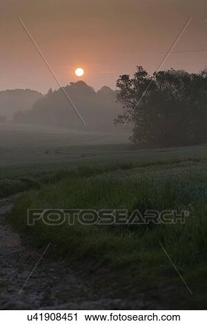 Misty rural landscape at sunrise. View Large Photo Image Stock Image - Misty rural landscape at sunrise.. Fotosearch