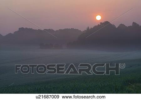 Stock Photo - Misty rural landscape at sunrise.. Fotosearch