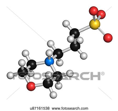 MOPS buffering agent molecule. 3D rendering. Atoms are represented as spheres with conventional colour-coding: hydrogen (white), carbon (black), oxygen (red), nitrogen (blue), sulfur (yellow). View Large Photo Image Stock Photo - MOPS buffering agent molecule. 3D rendering. Atoms are represented as spheres with conventional colour-coding: hydrogen (white), carbon (black), oxygen (red), nitrogen (blue), sulfur (yellow).. Fotosearch