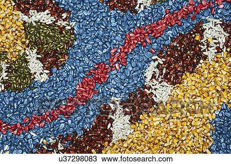 Multi-coloured background of corn maize seed. View Large Photo Image Stock Image - Multi-coloured background of corn maize seed.. Fotosearch