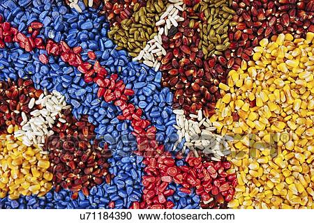 Stock Image - Multi-coloured background of corn maize seed.. Fotosearch