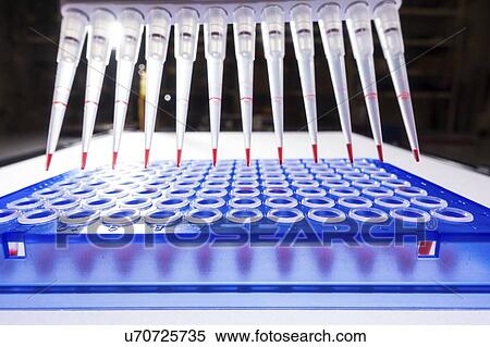 Multi pipette and 96 well plate. View Large Photo Image Stock Photography - Multi pipette and 96 well plate.. Fotosearch