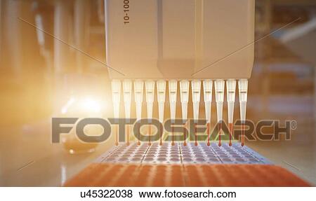 Multi pipette and multi well plate. View Large Photo Image Stock Photo - Multi pipette and multi well plate.. Fotosearch
