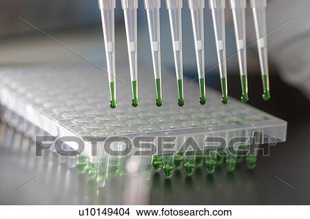 Multichannel pipette. View Large Photo Image Picture - Multichannel pipette.. Fotosearch