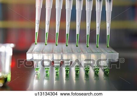 Picture - Multichannel pipette.. Fotosearch