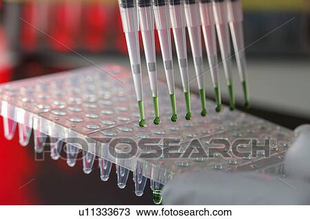 Stock Image - Multichannel pipette.. Fotosearch