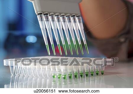Stock Image - Multichannel pipette.. Fotosearch