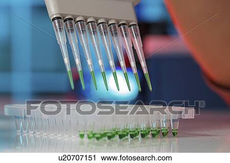 Stock Image - Multichannel pipette.. Fotosearch
