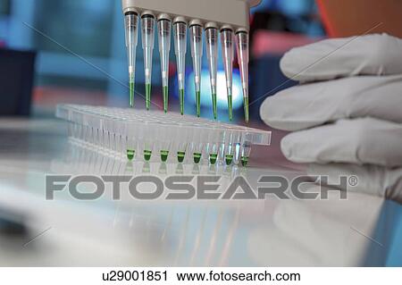 Multichannel pipette. View Large Photo Image Stock Image - Multichannel pipette.. Fotosearch