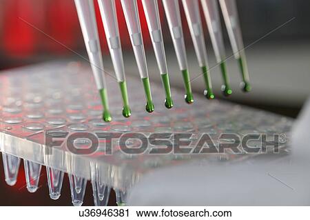Stock Image - Multichannel pipette.. Fotosearch
