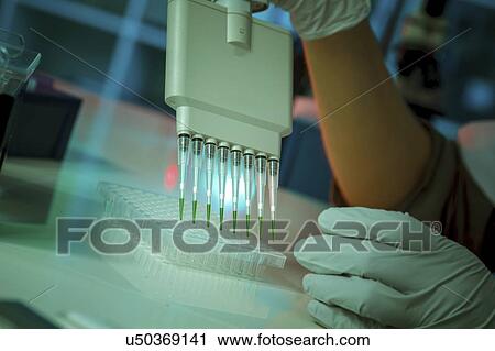 Stock Image - Multichannel pipette.. Fotosearch