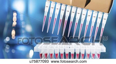 Multichannel pipette. View Large Photo Image Stock Image - Multichannel pipette.. Fotosearch