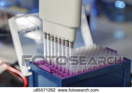 Stock Image - Multichannel pipette.. Fotosearch
