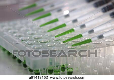 Multichannel pipette. View Large Photo Image Stock Image - Multichannel pipette.. Fotosearch