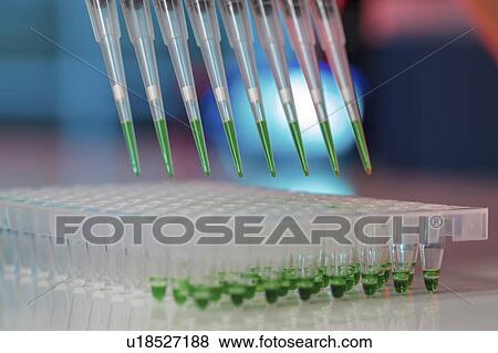 Stock Photo - Multichannel pipette.. Fotosearch