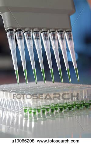 Stock Photo - Multichannel pipette.. Fotosearch
