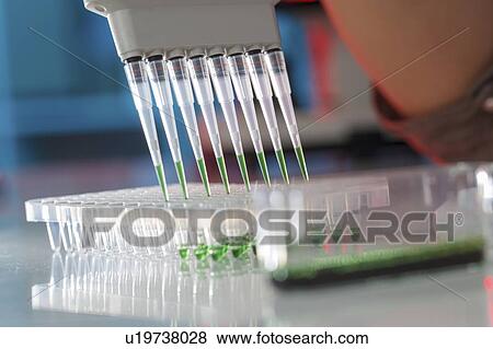 Stock Photo - Multichannel pipette.. Fotosearch
