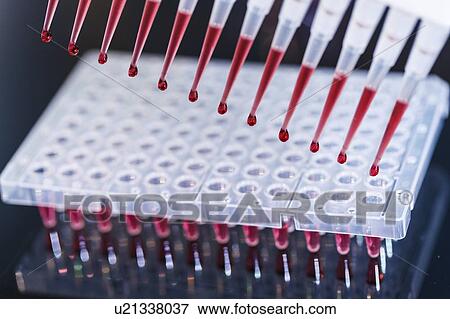 Multichannel pipette. View Large Photo Image Stock Photo - Multichannel pipette.. Fotosearch