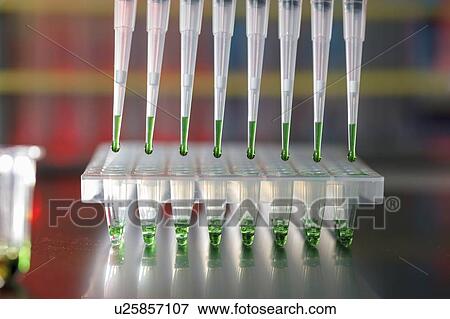 Stock Photo - Multichannel pipette.. Fotosearch