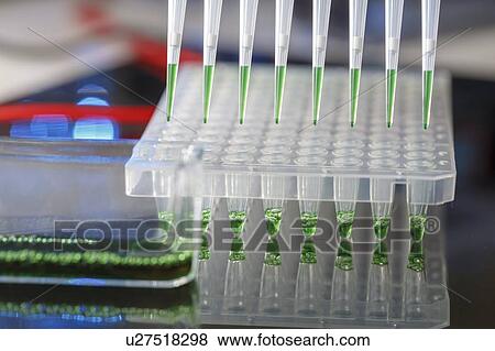Stock Photo - Multichannel pipette.. Fotosearch
