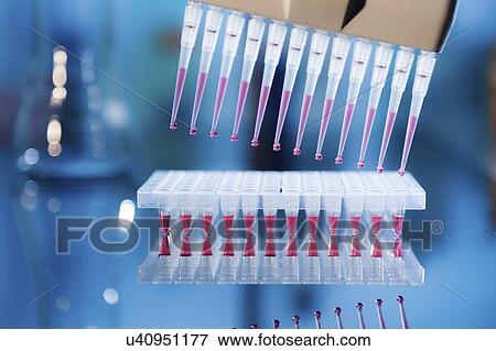 Stock Photo - Multichannel pipette.. Fotosearch