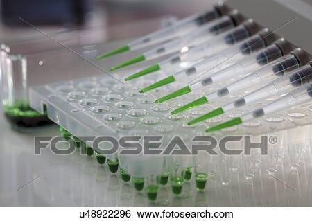 Multichannel pipette. View Large Photo Image Stock Photograph - Multichannel pipette.. Fotosearch