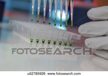 Stock Photograph - Multichannel pipette.. Fotosearch