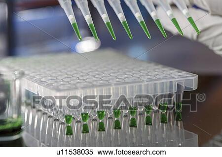 Stock Photography - Multichannel pipette.. Fotosearch