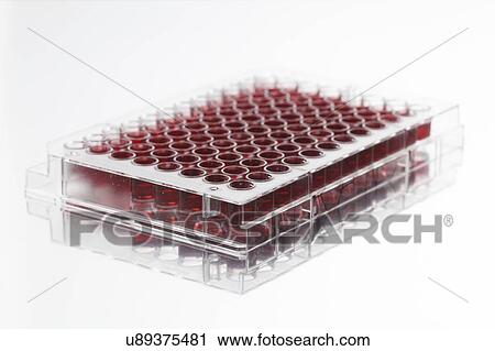Multiwell plate with biological samples. View Large Photo Image Stock Image - Multiwell plate with biological samples.. Fotosearch