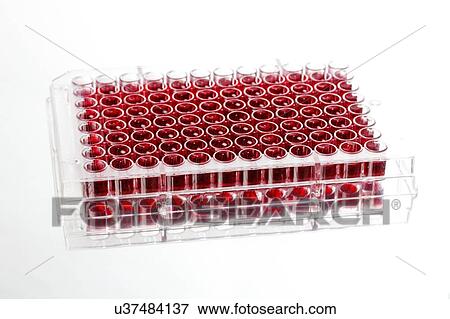 Stock Photo - Multiwell plate with biological samples.. Fotosearch