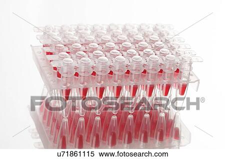Stock Photography - Multiwell plate with biological samples.. Fotosearch
